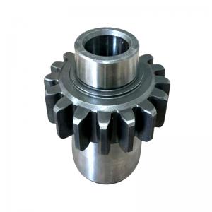 Spur Gear